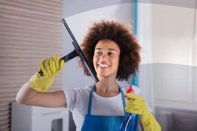 Things to Know: the Advantages of Using a Squeegee