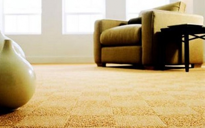 How to clean your carpets at home!