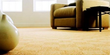 How to clean your carpets at home!