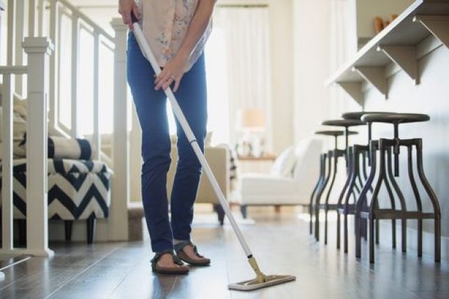 Floor dusting mop LABICO