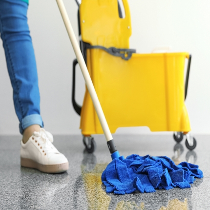 Microfiber wet mop LABICO